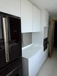 Park Infinia At Wee Nam (D11), Condominium #501931641